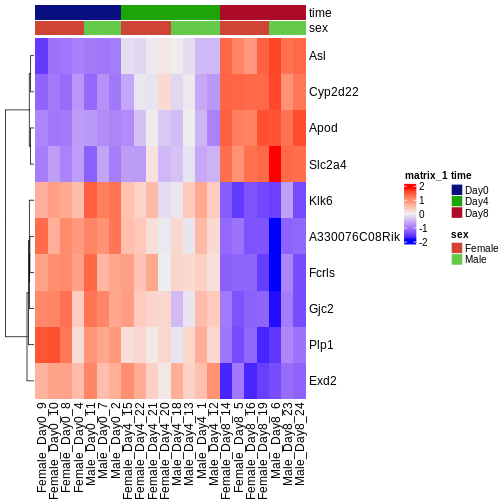 Heatmap showing the vsd-transformed expression levels for the ten most significantly differentially expressed genes over time, in all the samples.
